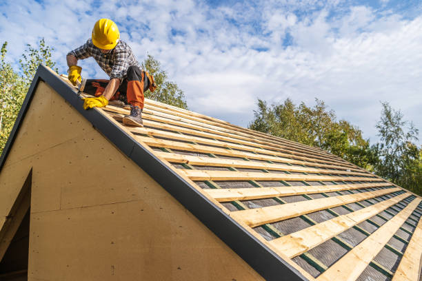 Best Roof Gutter Cleaning  in Mequon, WI